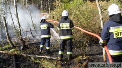 Pożar lasu w Kolimagach