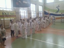 V Międzywojewódzkie Mistrzostwa Taekwondo Olimpijskiego w Zabielu |Fot. www.gminakolno.pl