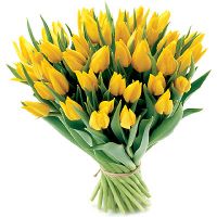 Bukiet tulipanów z okazji Dnia Matki